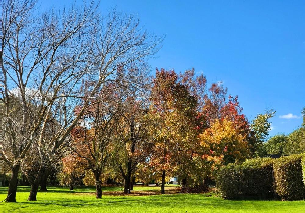 Briars Country Lodge Bowral Bagian luar foto