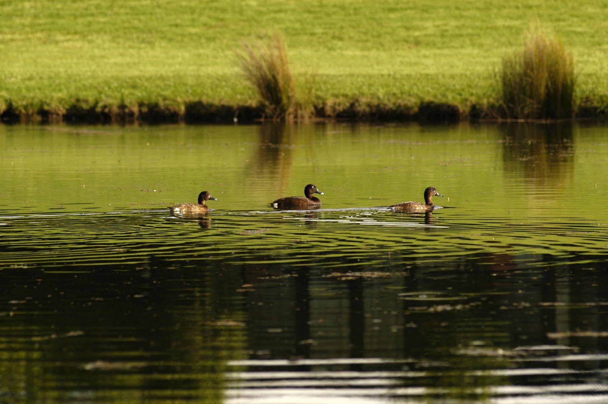 Briars Country Lodge Bowral Bagian luar foto