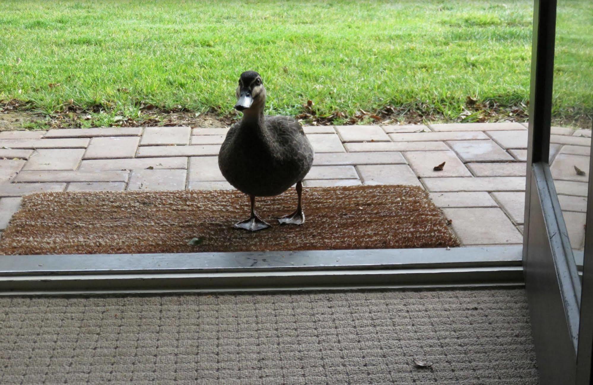 Briars Country Lodge Bowral Bagian luar foto