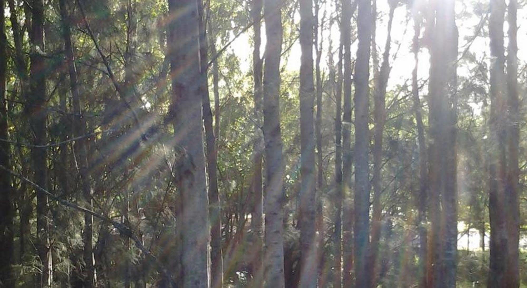 Briars Country Lodge Bowral Bagian luar foto